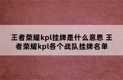 王者荣耀kpl挂牌是什么意思 王者荣耀kpl各个战队挂牌名单